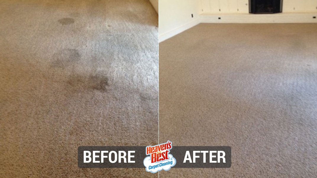 Heaven's Best Carpet & Upholstery Cleaning