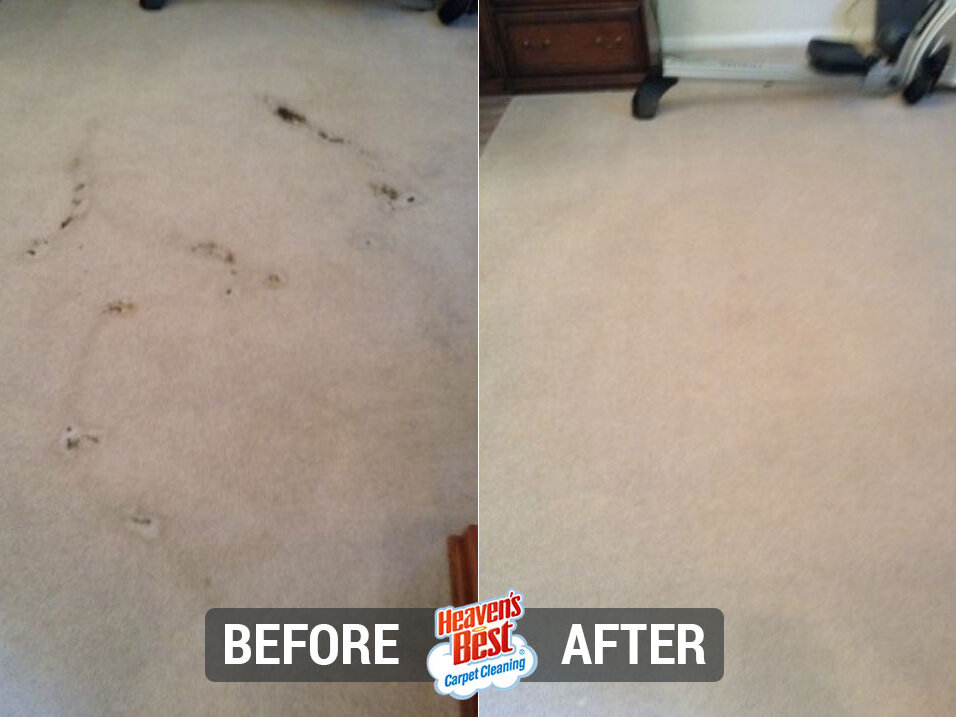 Heaven's Best Carpet & Upholstery Cleaning